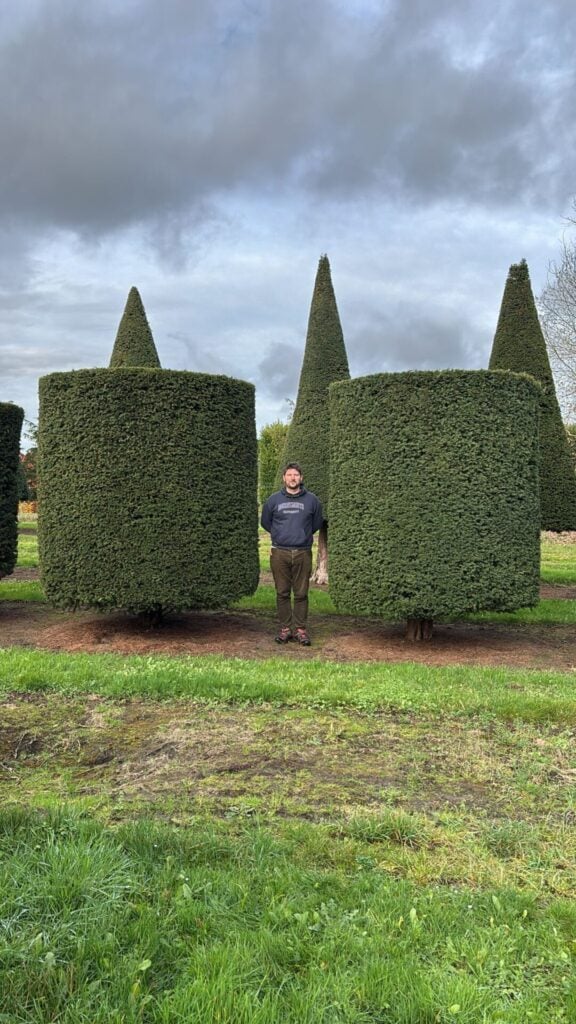 Topiary Inspiration Mood Board