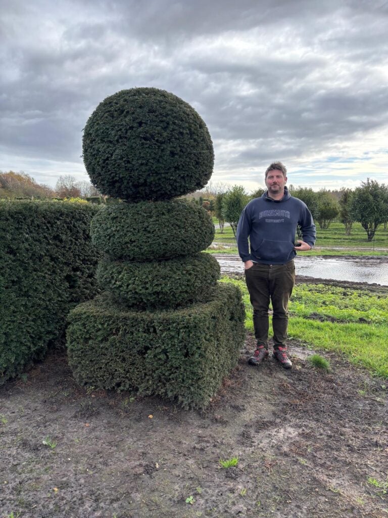 Topiary Inspiration Mood Board