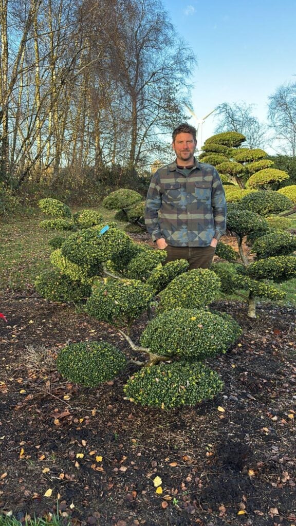 Topiary Inspiration Mood Board