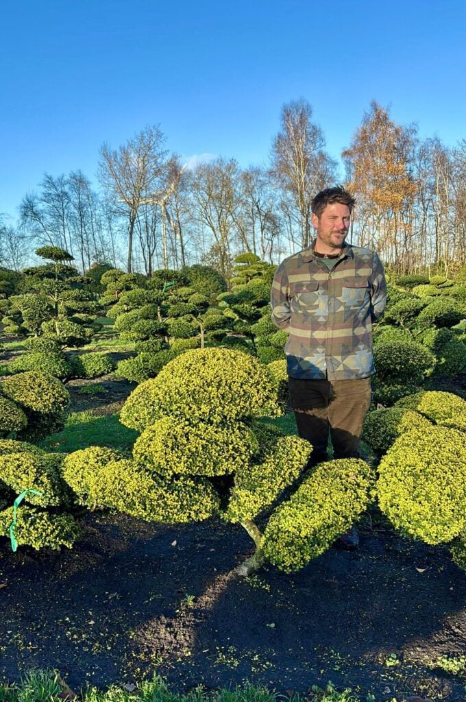 Topiary Inspiration Mood Board