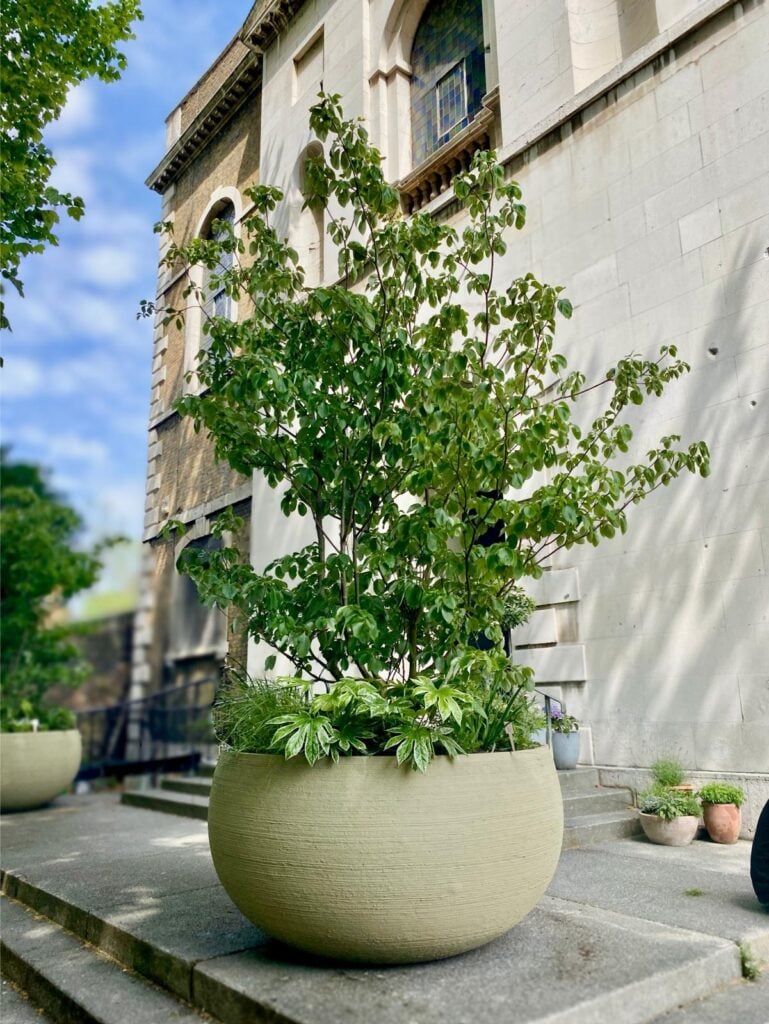 Pots Inspiration Mood Board