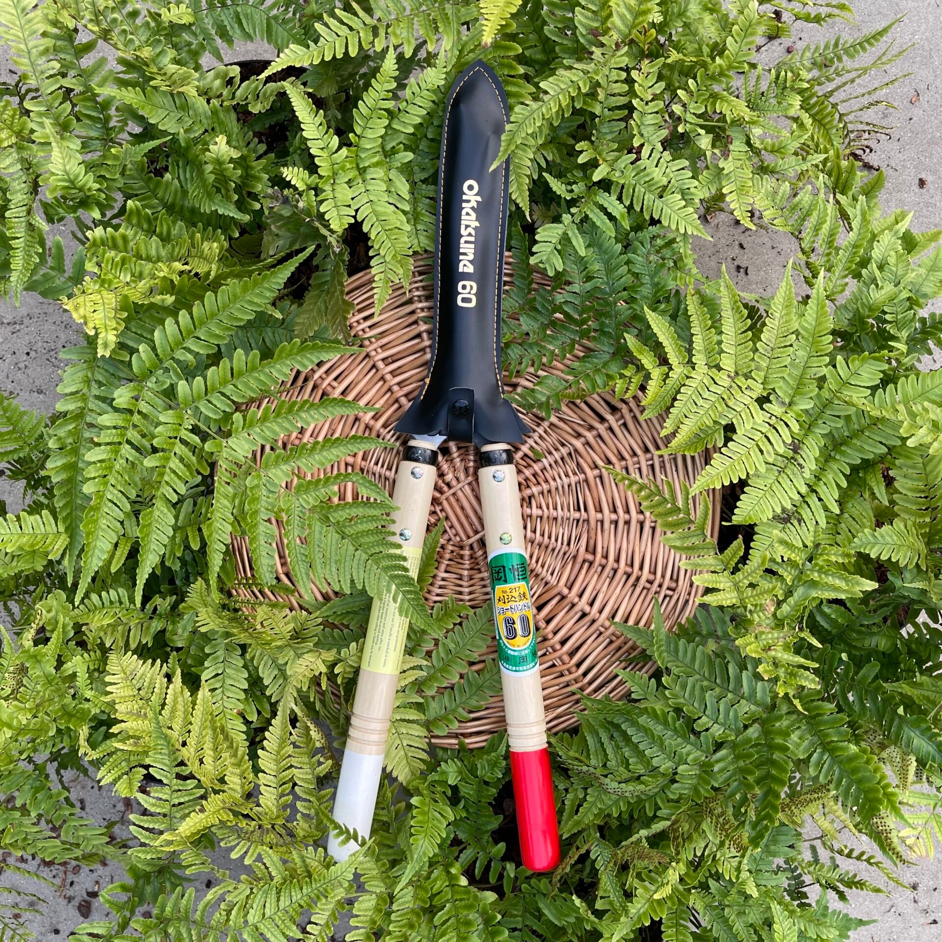 Niwaki Shears 'Okatsune' - Image 3