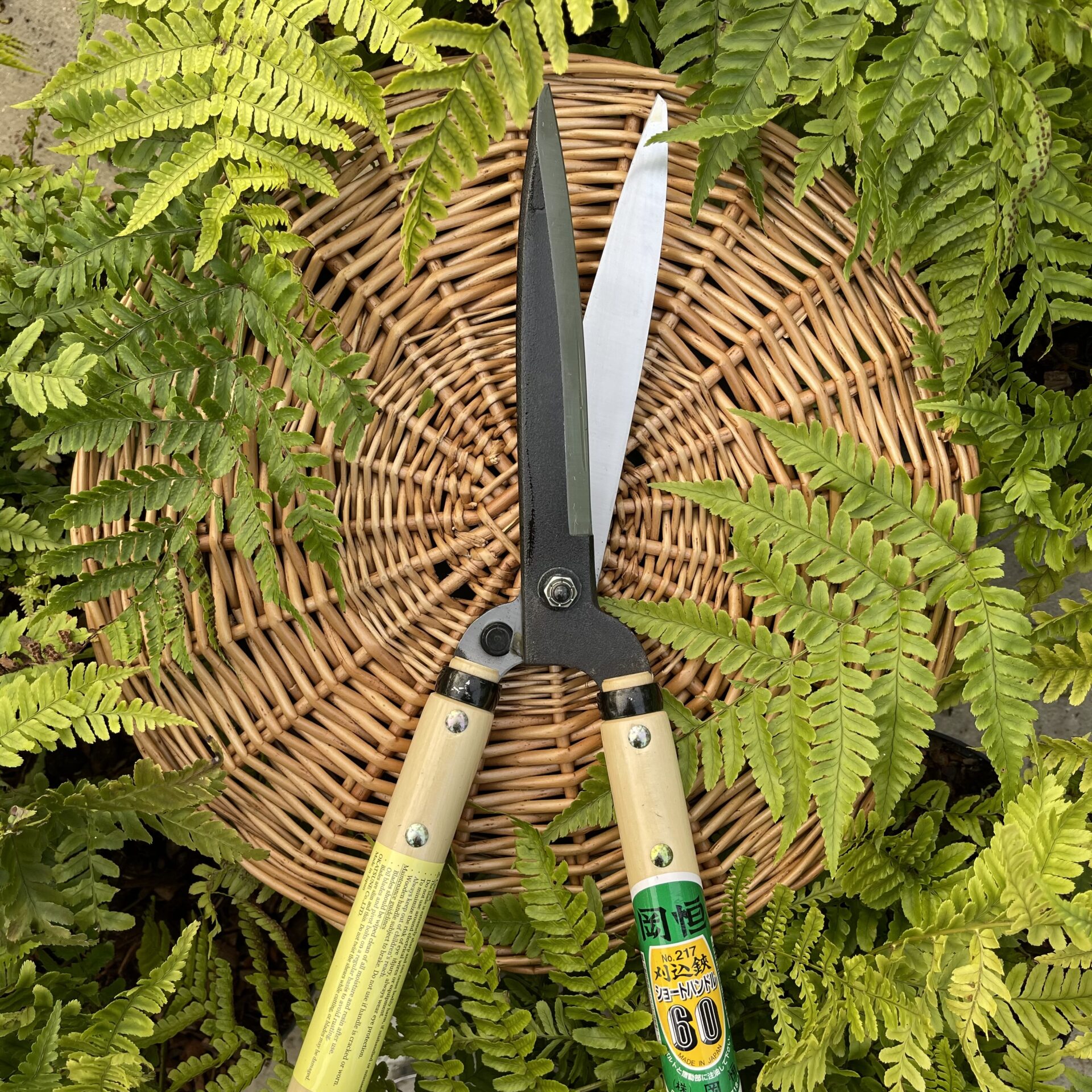 Niwaki Shears 'Okatsune' - Image 4