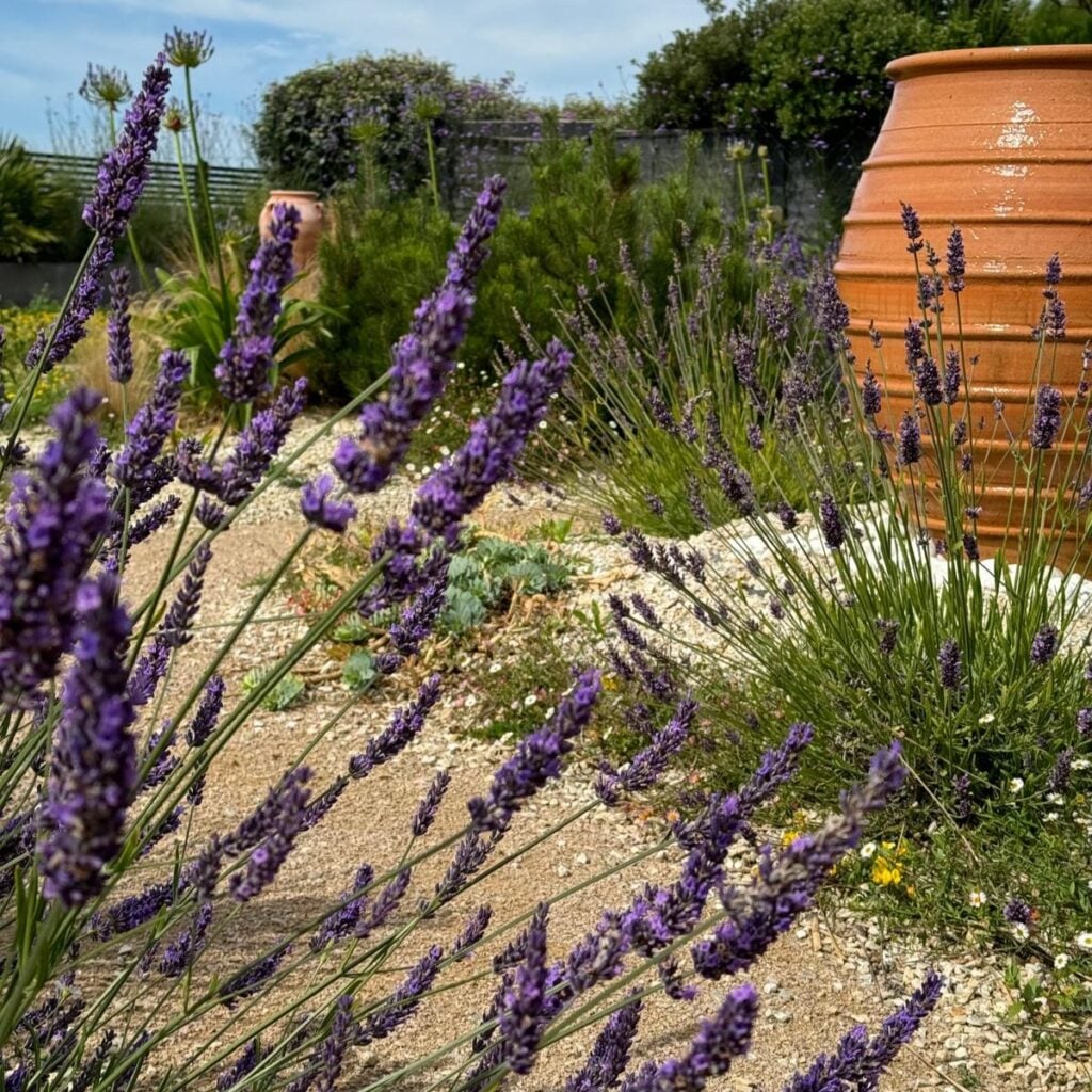 Pots Inspiration Mood Board