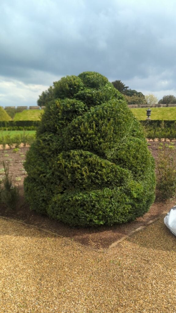 Topiary Inspiration Mood Board