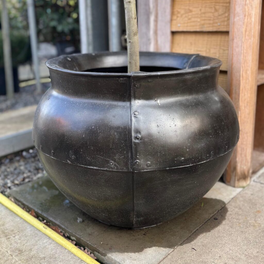 Bell Jar - Image 18