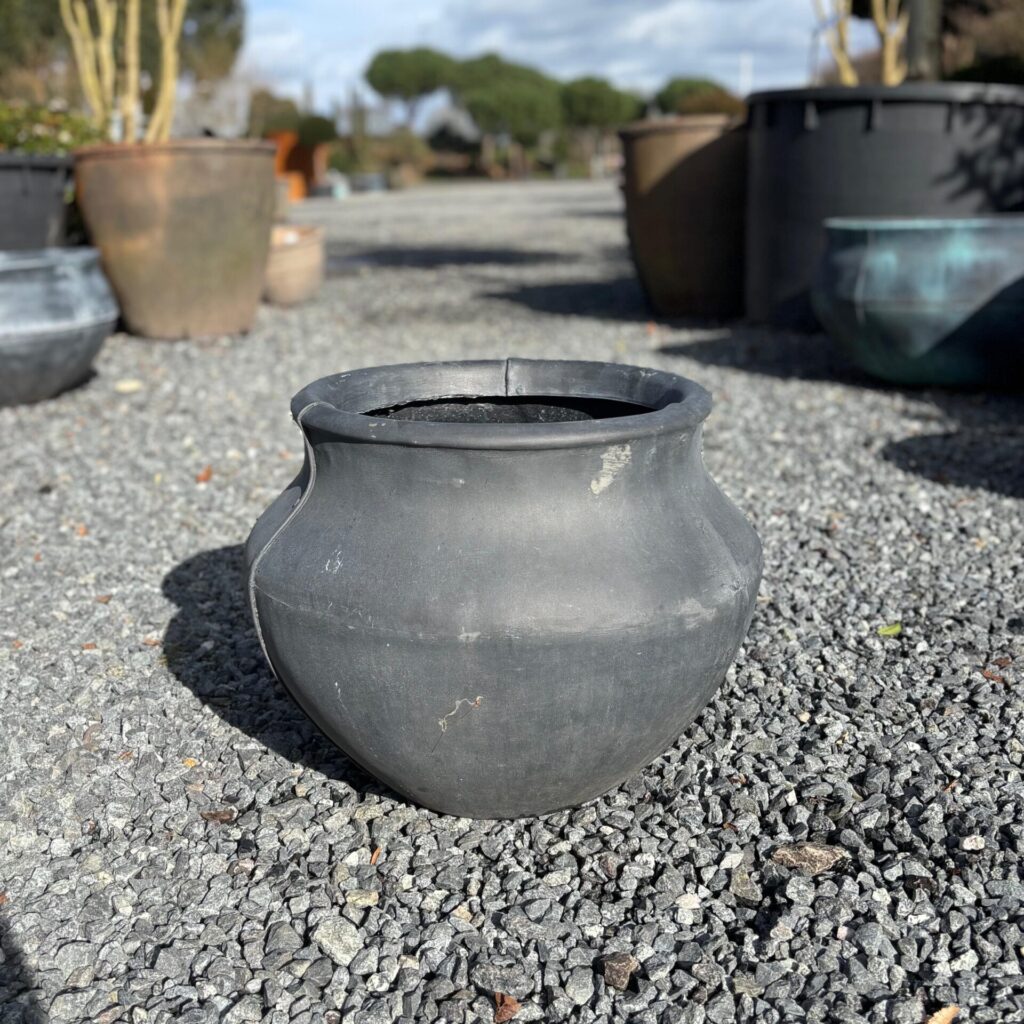 Bell Jar - Image 21