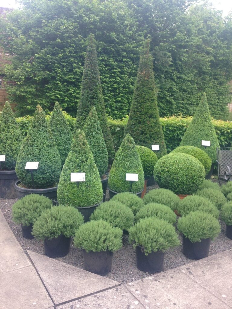 Topiary Inspiration Mood Board