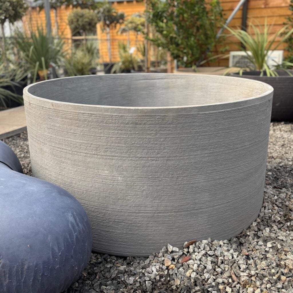 Torc Pots : Dace