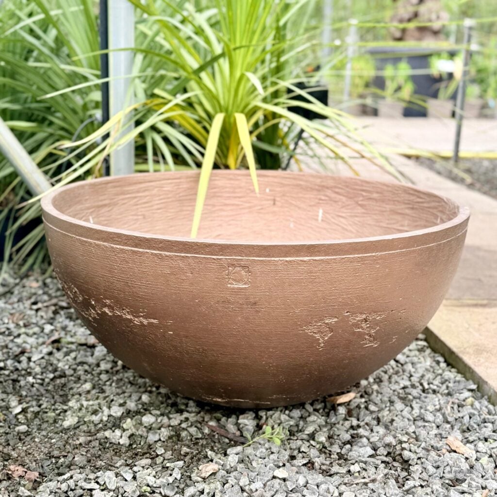 Torc Pots : Nia