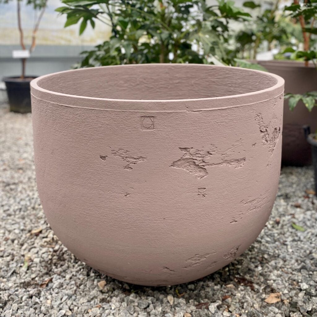 Torc Pots : Caradoc - Image 3