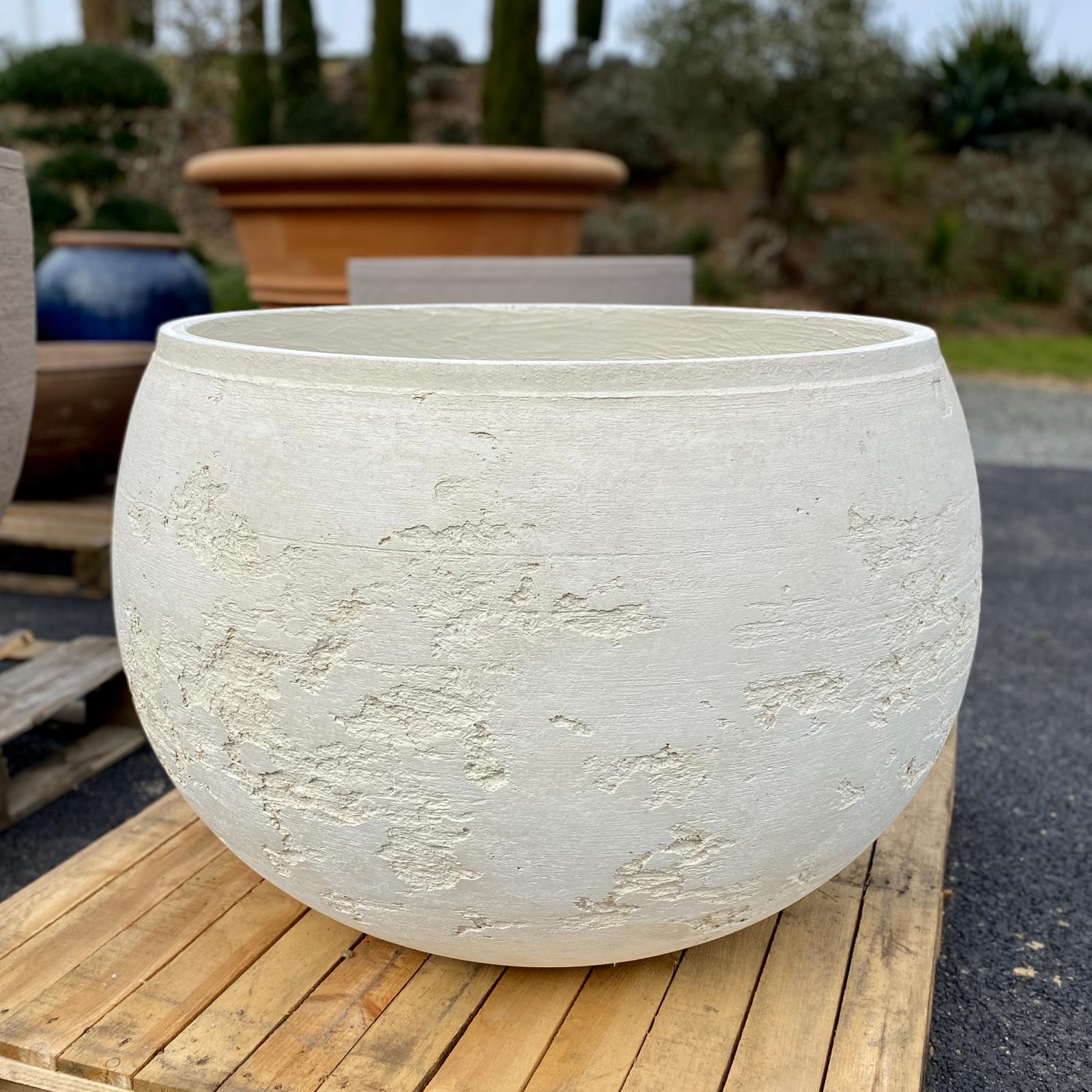 Torc Pots : Asa - Image 4