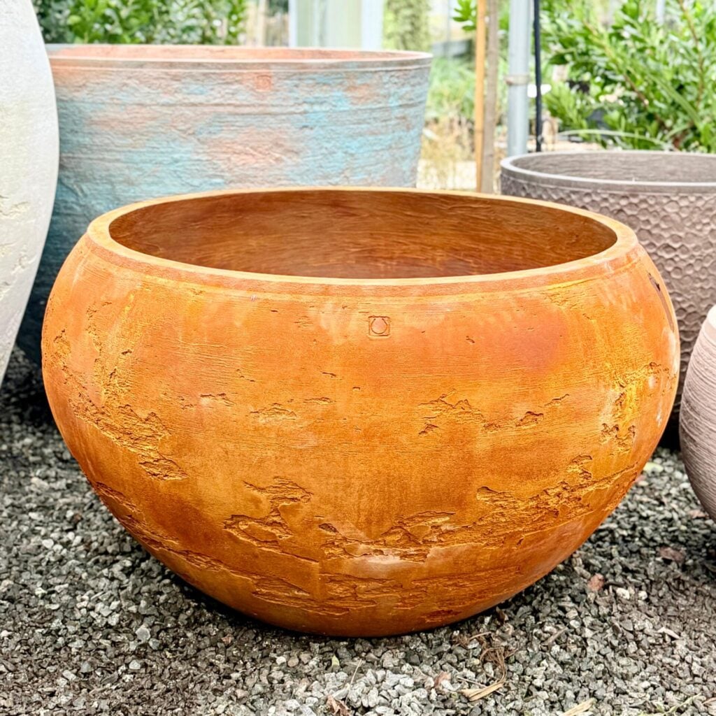 Torc Pots : Medea