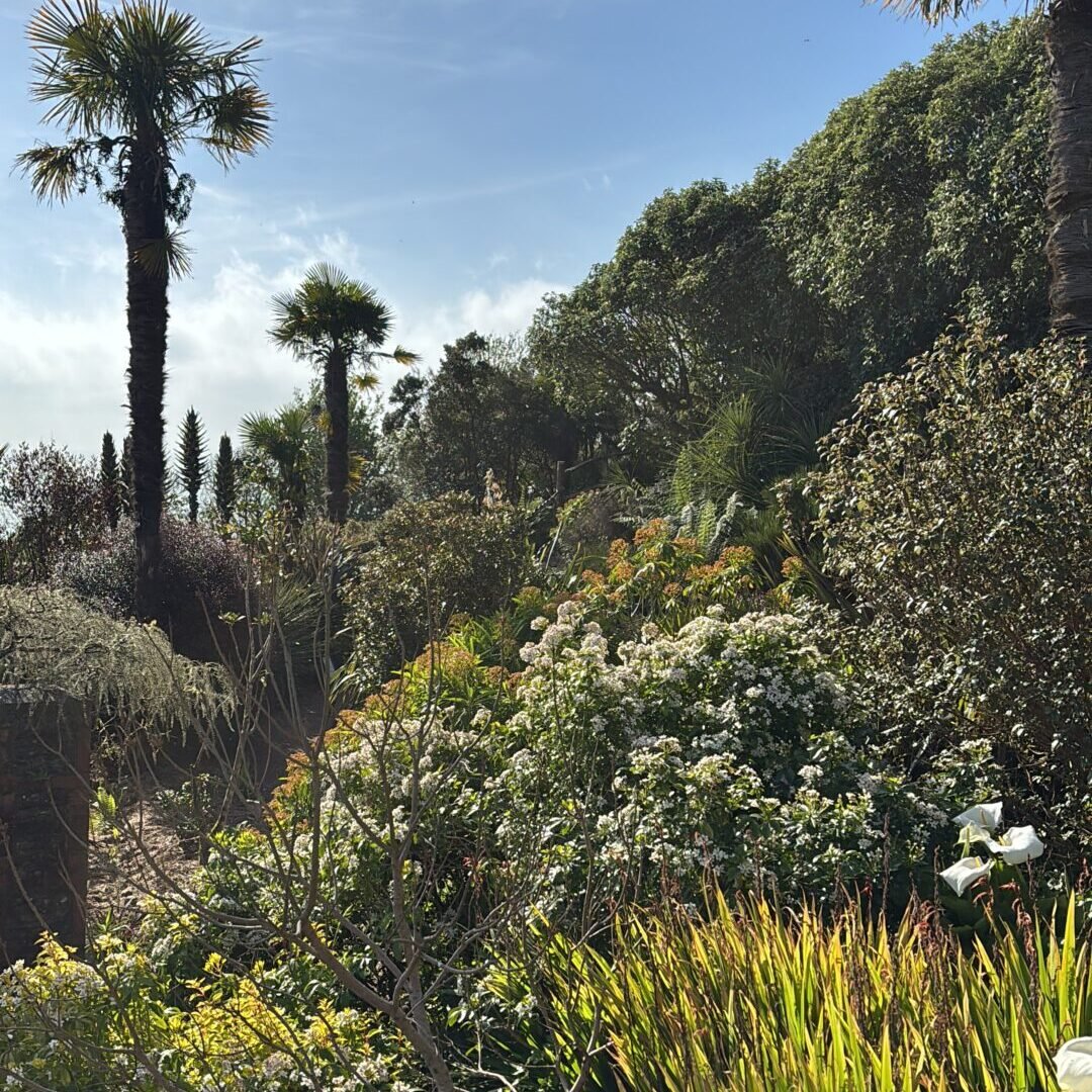 A Plant Hunter’s Detour