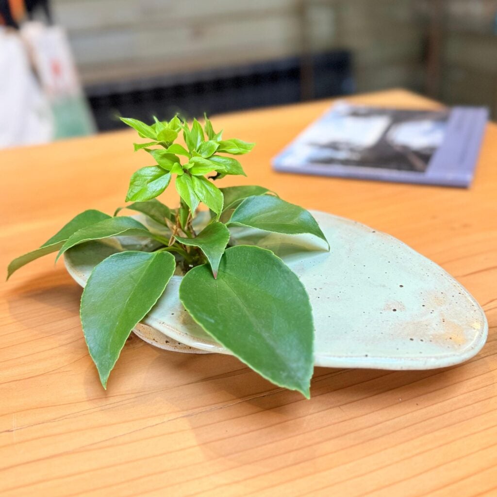 Ikebana Suiban - Image 3