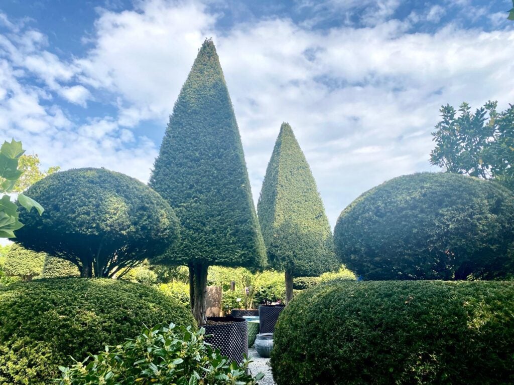 Topiary Inspiration Mood Board