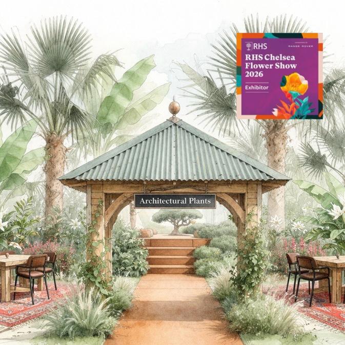 Our journey to the RHS Chelsea Flower show 2026 