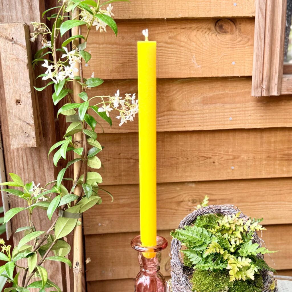 Dining Candles - Image 13