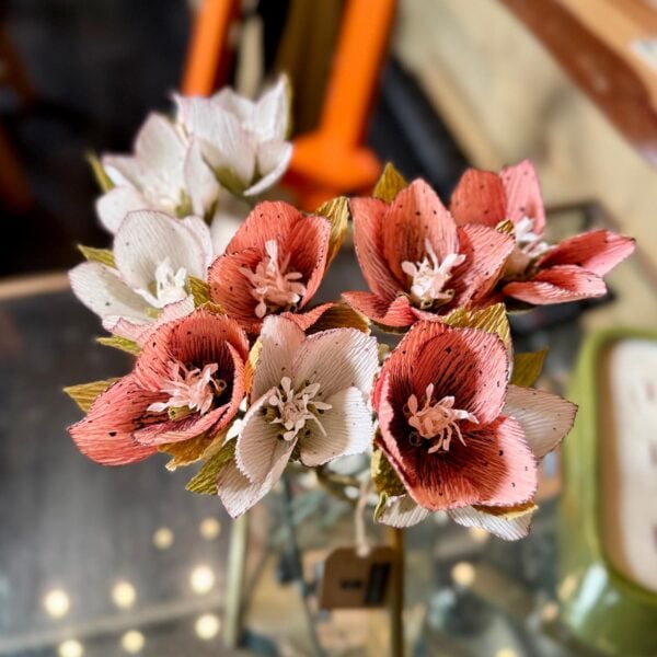 Sussex Handmade Paper Hellebore