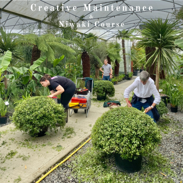 Creative Maintenance & Niwaki Course Ticket Wednesday 29th September 2027