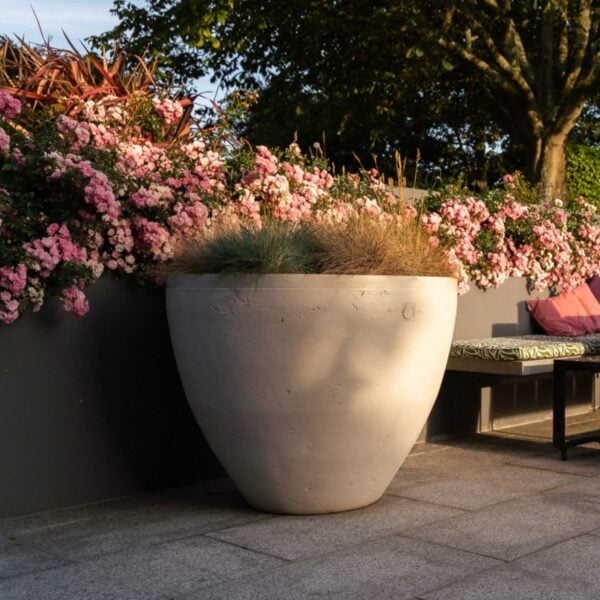 Torc Pots : Abria