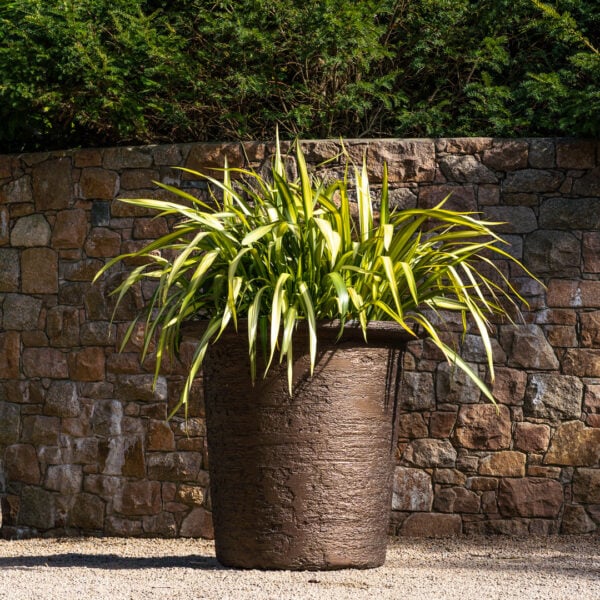 Torc Pots : Arlo