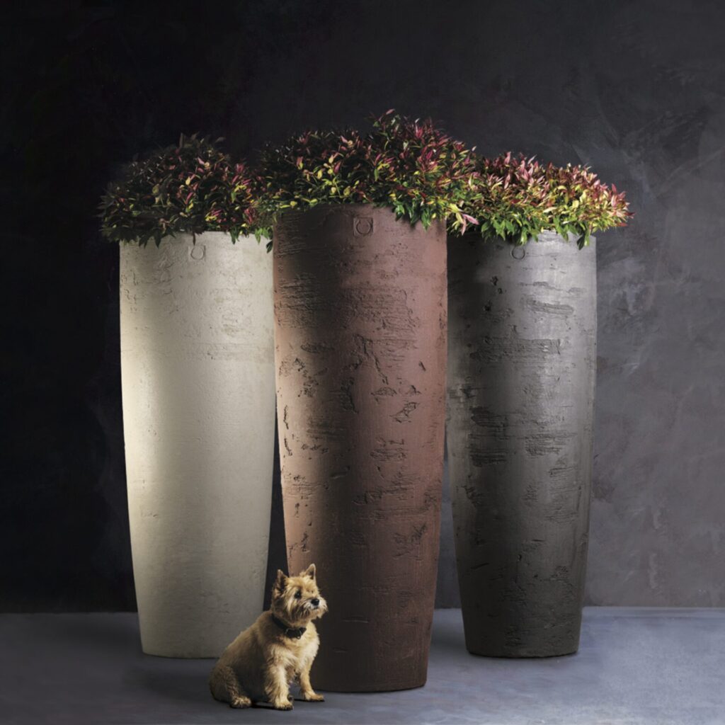 Torc Pots : Brann - Image 2