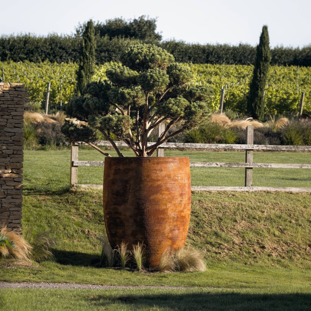 Torc Pots : Erian - Image 2