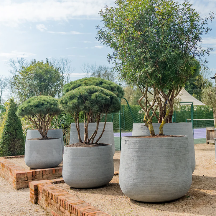 Torc Pots : Opus - Image 3