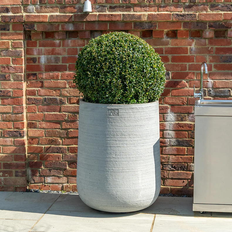 Torc Pots : Opus - Image 2