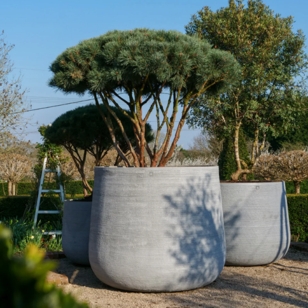 Torc Pots : Opus