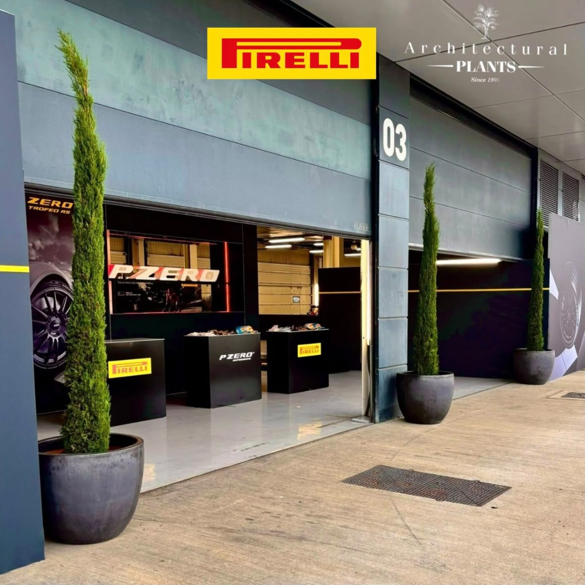 Pirelli P ZERO Experience – Silverstone 2026