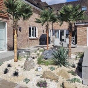 A tropical courtyard