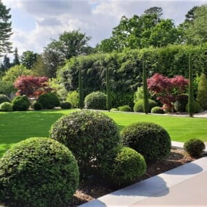 Evergreen Garden Design
