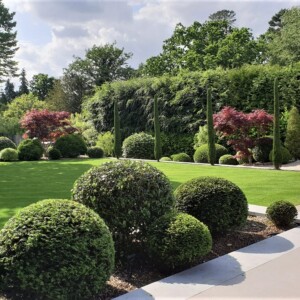Evergreen Garden Design