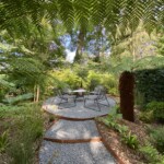 Circular gravel seating area enclosed by Dicksonia antarctica tree ferns in a shaded exotic garden
