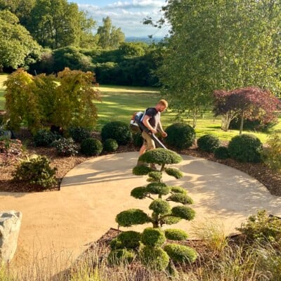 Curvaceous and sculptural with contrasting forms, textures and colour