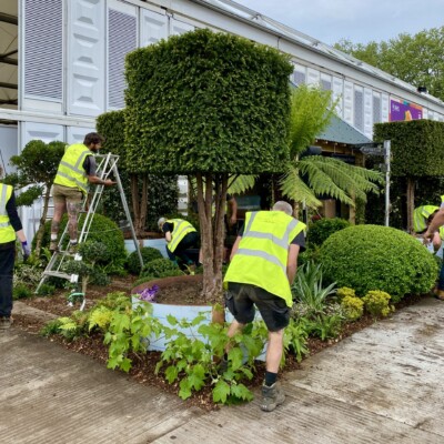 Garden Planting Service